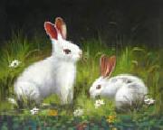 unknow artist Rabbit oil painting artist